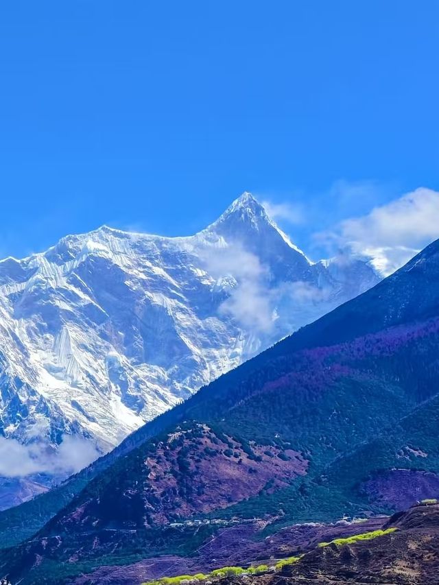 這可是西藏春天最動人的邀請函