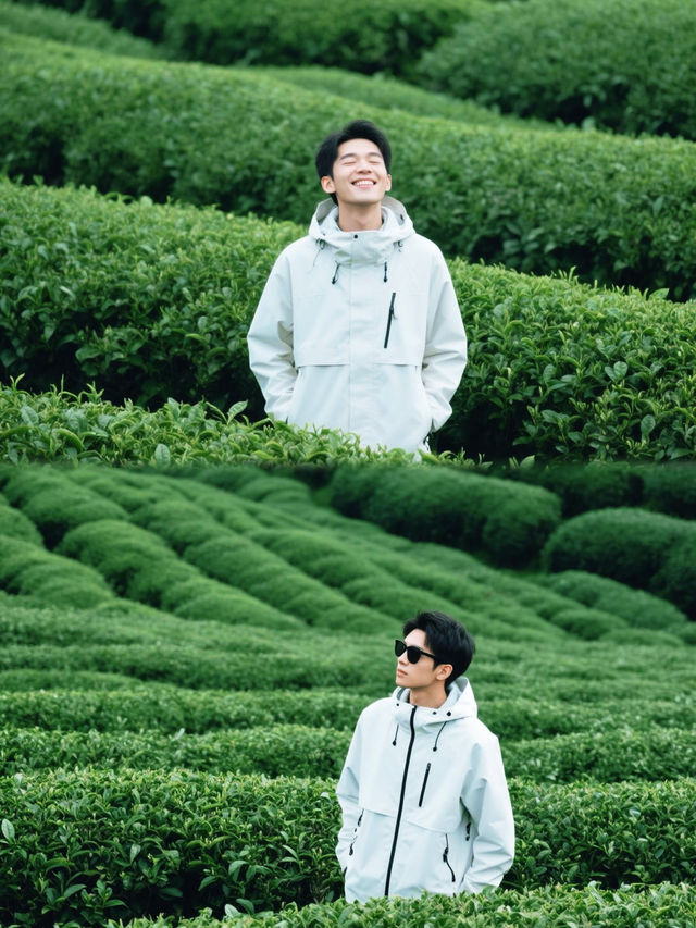 被《國家地理》遺漏的寶藏：復興村萬畝茶田雲端開花