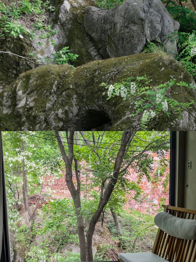 在鄭州，發現了一個藏在山裡的秘境小院