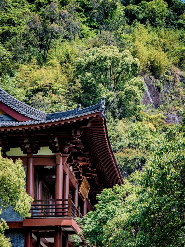 一個能讓你遠離喧囂，享受自然的小眾寶藏地