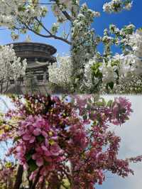 山西文旅文案——穿越千年，晉享風