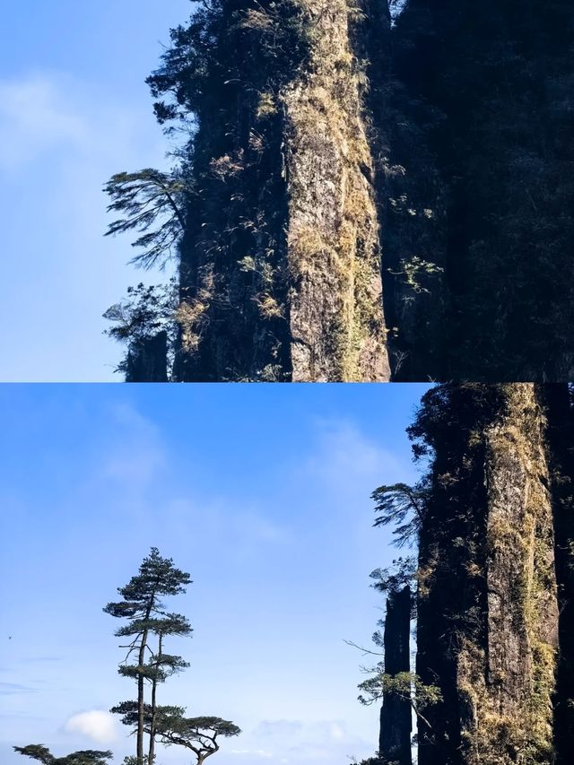 宜章受罪已回，實話拒噴