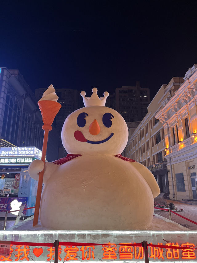 Icy Harbin 🥶
