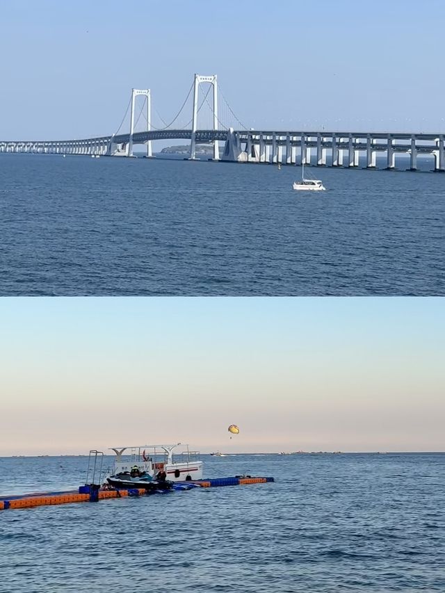 連夜整理5月大連旅行天花板攻略！附避坑