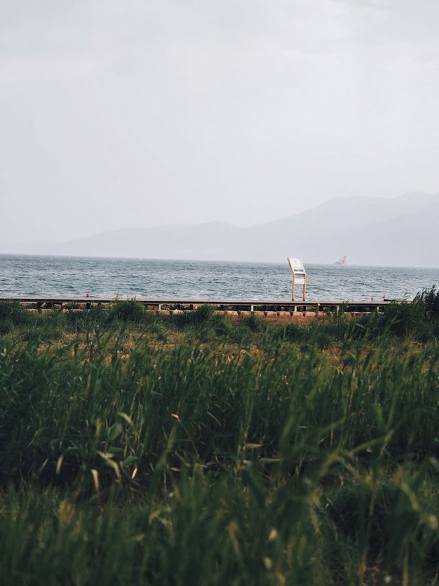 雲南嘅春天裏面藏咗一萬次嘅春和景明