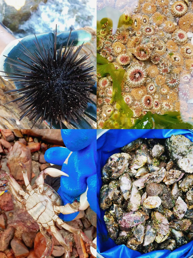 鹽州歸來,玩咗一星期,我嘅消費觀真係崩潰咗!! 鹽州歸來,玩咗一星期,我嘅消費觀真係崩潰咗!!