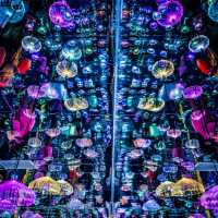 深圳懸空玻璃藝術館🌌｜腳下星河璀璨，一秒走進魔幻空間！