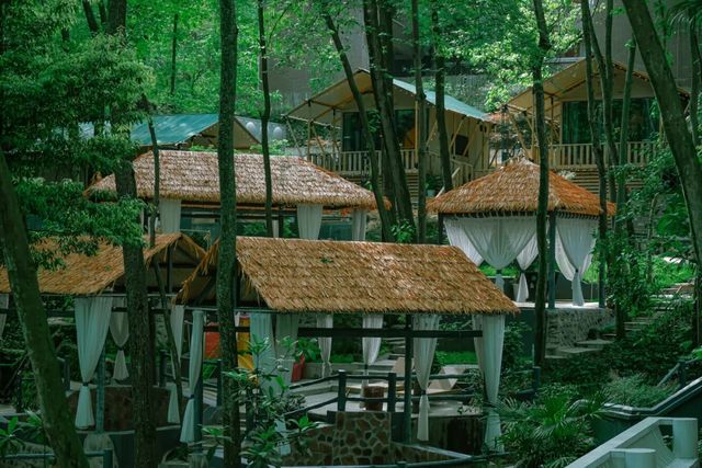 四川成都 ‖‖ 山野之家 - 青城山尊鉑森林酒店