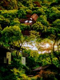 夕上·虎跑1934治癒系森林秘境的民國別墅