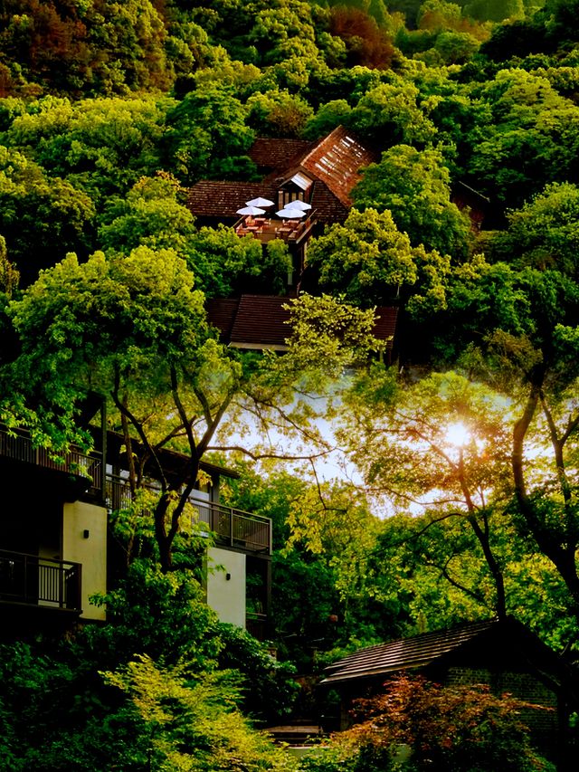 夕上·虎跑1934治癒系森林秘境的民國別墅