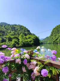 鳥語花香，帶你走進恩施龍船水鄉風景區
