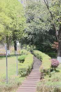 城市中的田野，都市中的綠肺