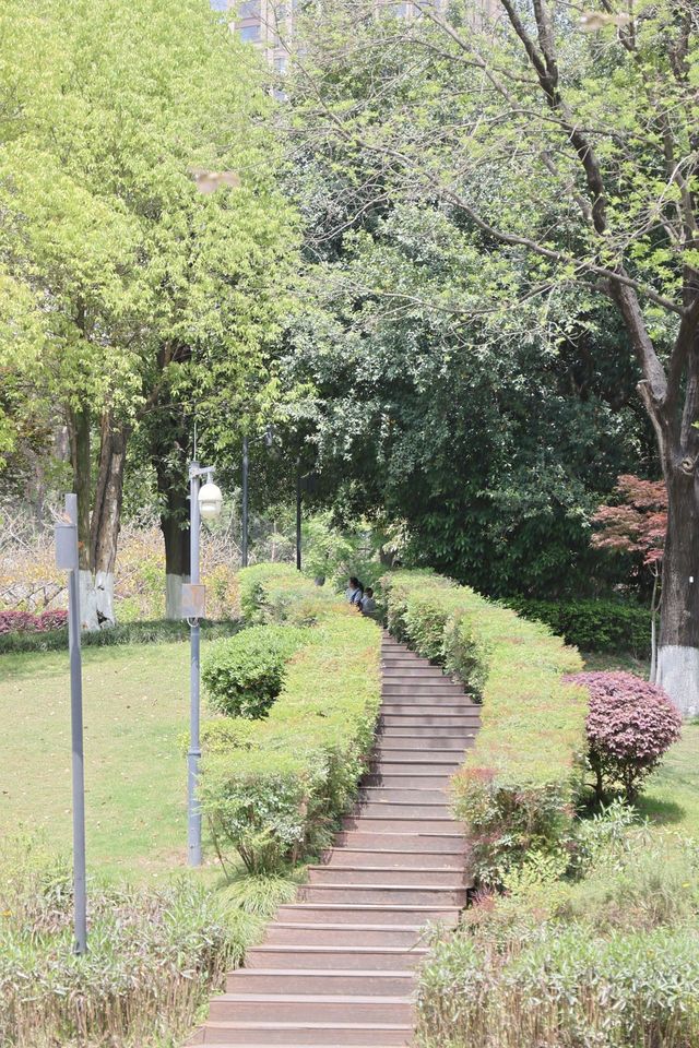 城市中的田野，都市中的綠肺