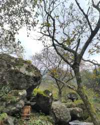 《山靄深處：與簷角苔衣的千年私語》