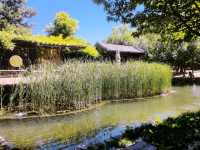 適合一個人旅行的目的地｜北京三里河公園
