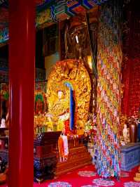 Beyond the Clouds: A Traveler’s Journey to Yaqing Temple’s Spiritual Solitude