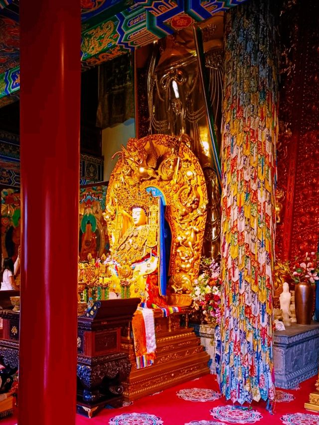 Beyond the Clouds: A Traveler’s Journey to Yaqing Temple’s Spiritual Solitude