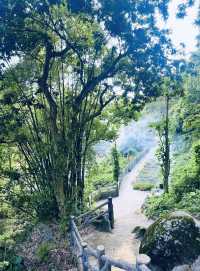 九侯山：半山禪意半山景