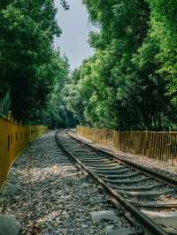 開往夏日森林秘境的列車｜武漢馬鸚路萬家巷