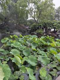 蘇州杭州烏鎮，4日3夜嘅三城旅遊攻略