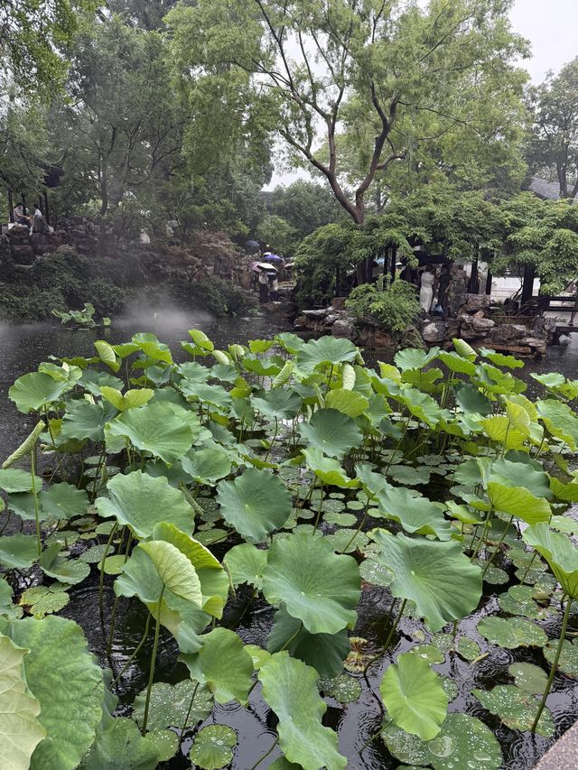 蘇州杭州烏鎮，4日3夜嘅三城旅遊攻略