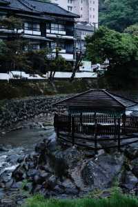 靜岡3日2夜｜東京隔籬嘅治癒天堂