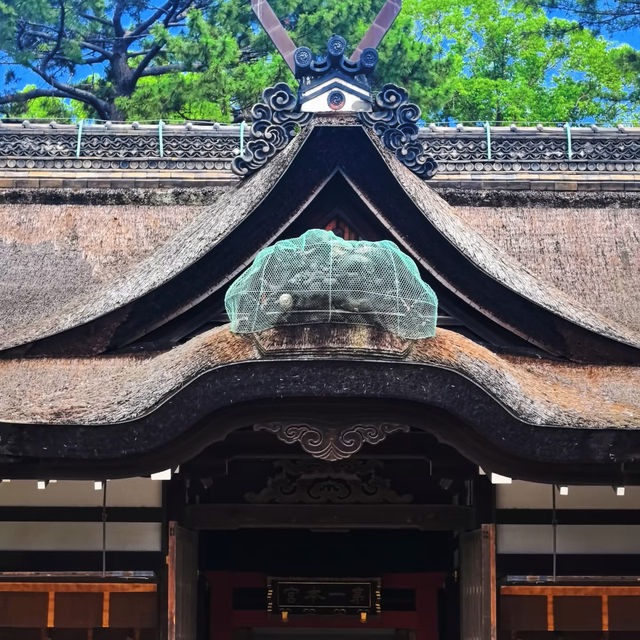 大阪住吉大社｜穿越時空的千年古建秘境✨