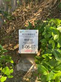 從香港出發到澳門黑沙水庫健康徑的跨境交通攻略 