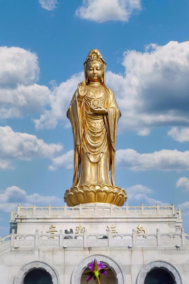 夏日遊普陀山-溪口 超實用攻略
