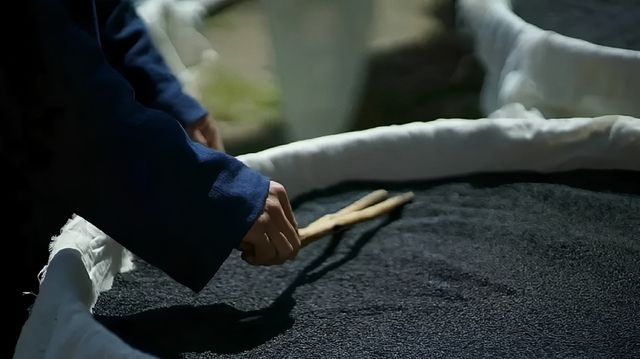 武當山清修營 | 3天2晚與師同修與道同行