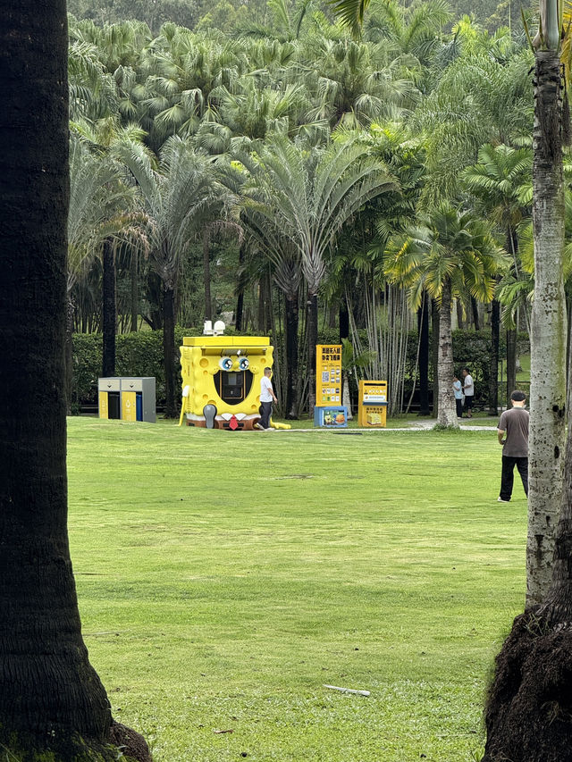 Drone Delivery In The Park, Experience The Future In Shenzhen. It’s Amazing 