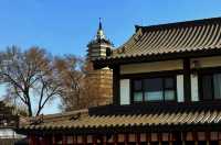 瀋陽回龍寺｜穿越千年的唐風之約