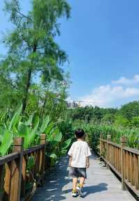 住錦江之星品尚，逛五緣灣濕地公園