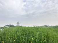 西安世園會休閒勝地