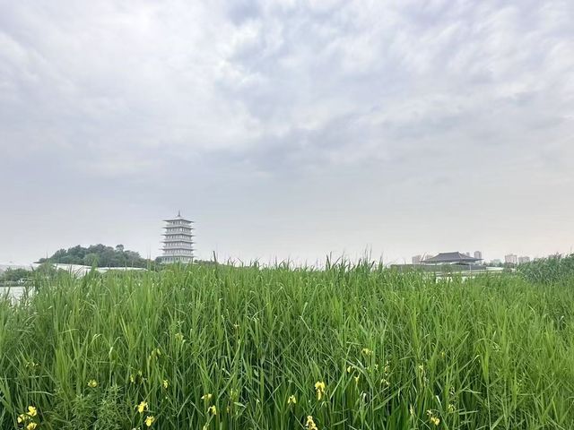 西安世園會休閒勝地