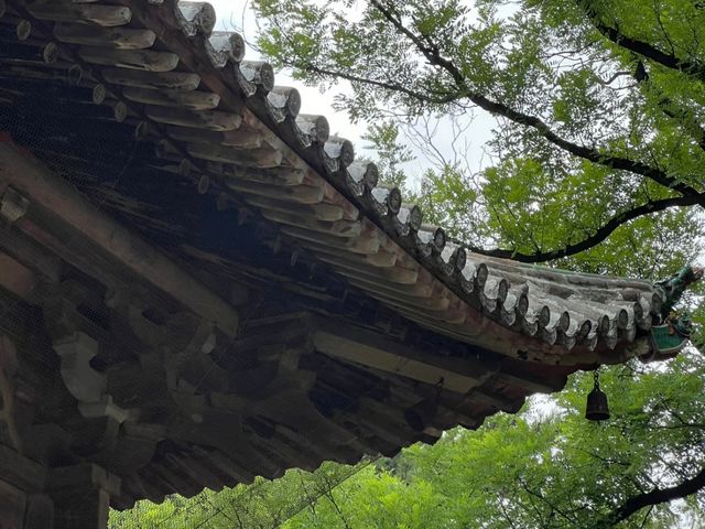 去咗4次永樂宮，終於玩到明晒。