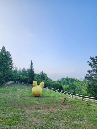 청성산! 루즈 청성 온천 호텔, 정말 머물기 좋아요!