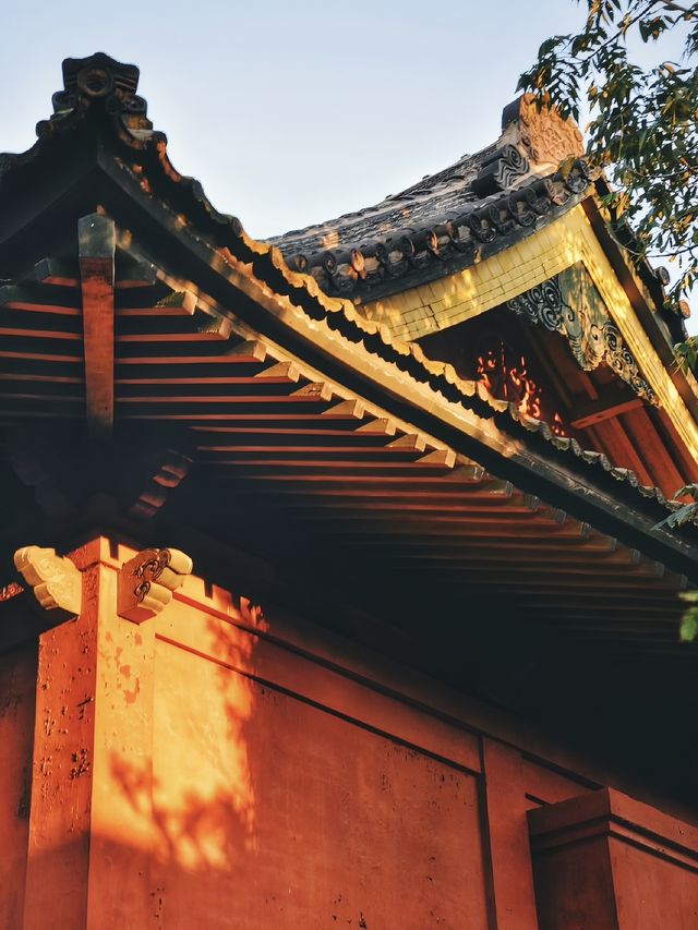 遼寧大連攻略｜今個夏天點都要去一趟大連啦