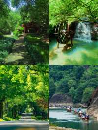 避暑就去武夷山！登天遊峰睇雲海