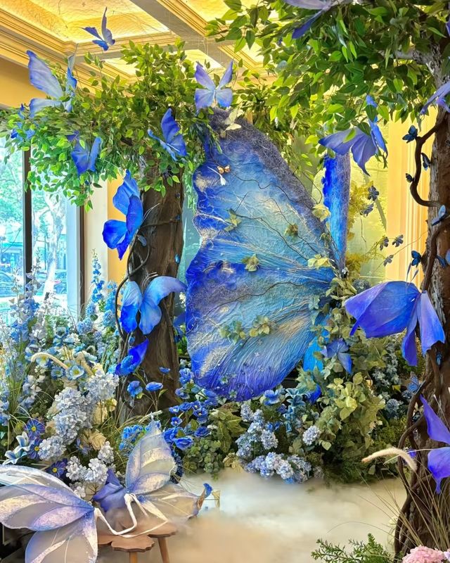昆明新展速遞春日墜入蝴蝶藝術仙境