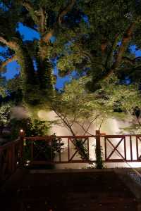 普陀山祈福 入住千年古剎法雨寺旁酒店