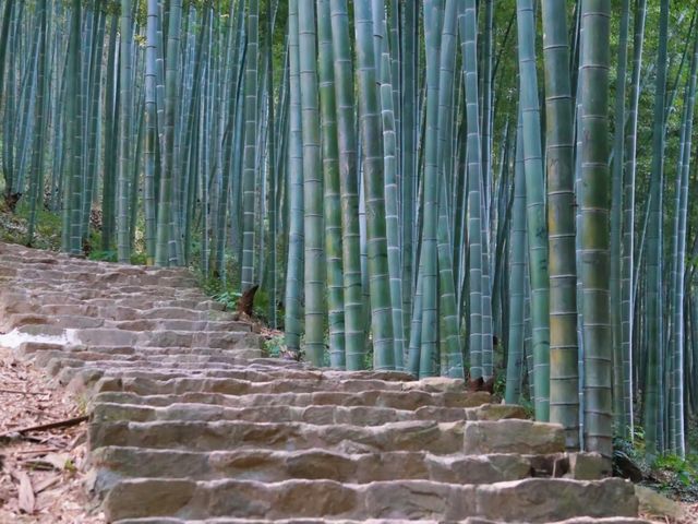 去了4次宜興窯湖小鎮，終於玩明白了！
