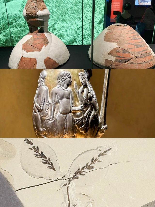 上博新展「龍騰中國」，究竟藏何驚喜？