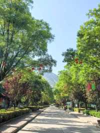 腳軟警告！｜神潭大峽谷全攻略