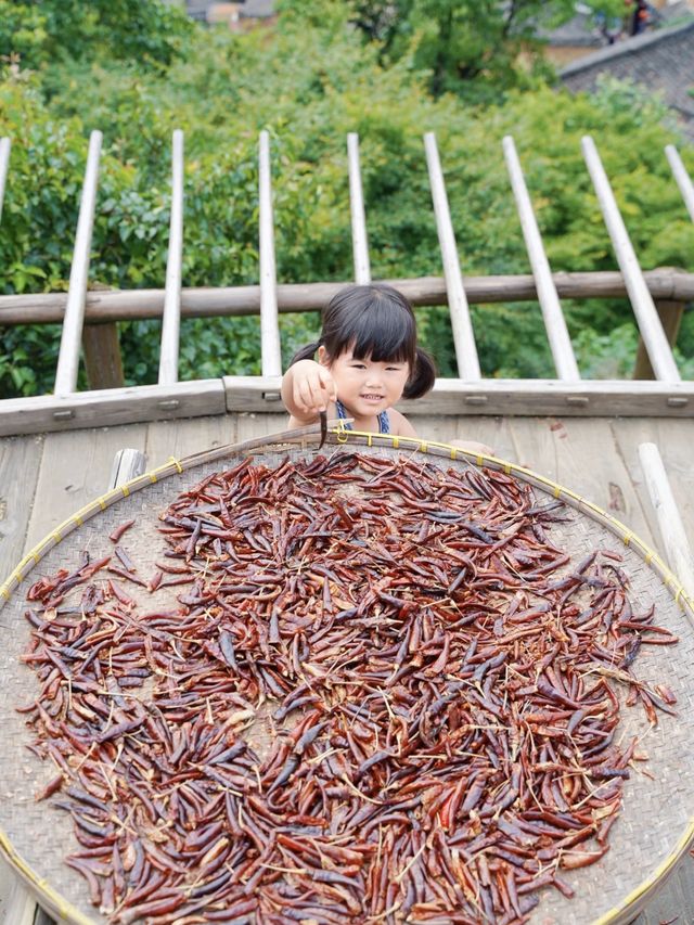 婺源篁嶺攻略：邂逅中國最美鄉村的秋日童話