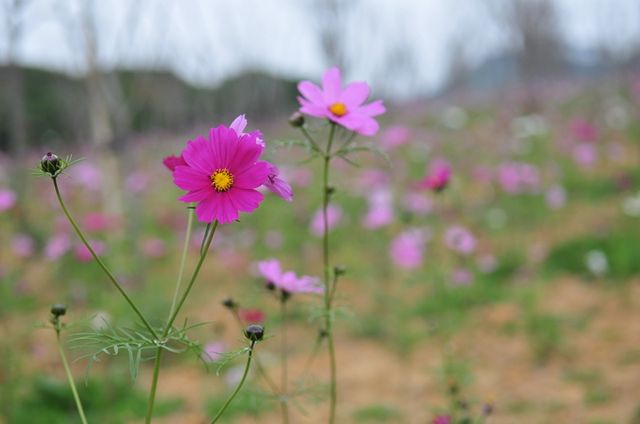 松山湖