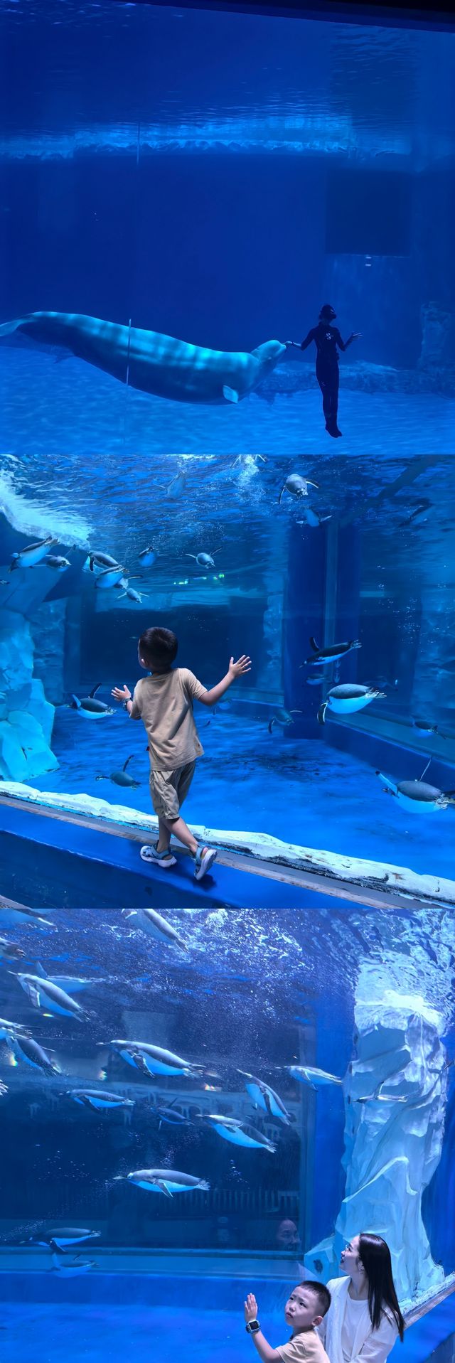 海南陵水親子遊
