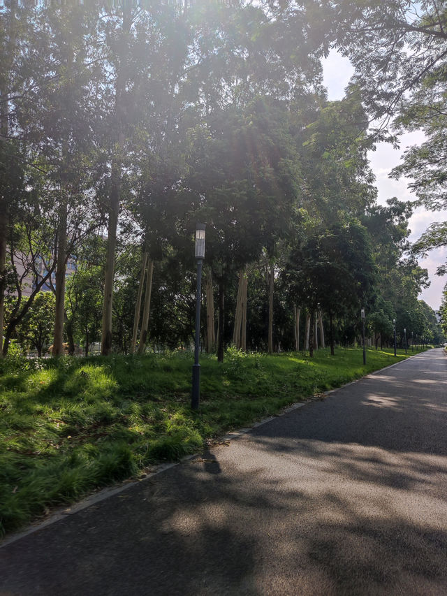 《深圳西岸慢生活，蔚徕酒店裡的治癒時光》