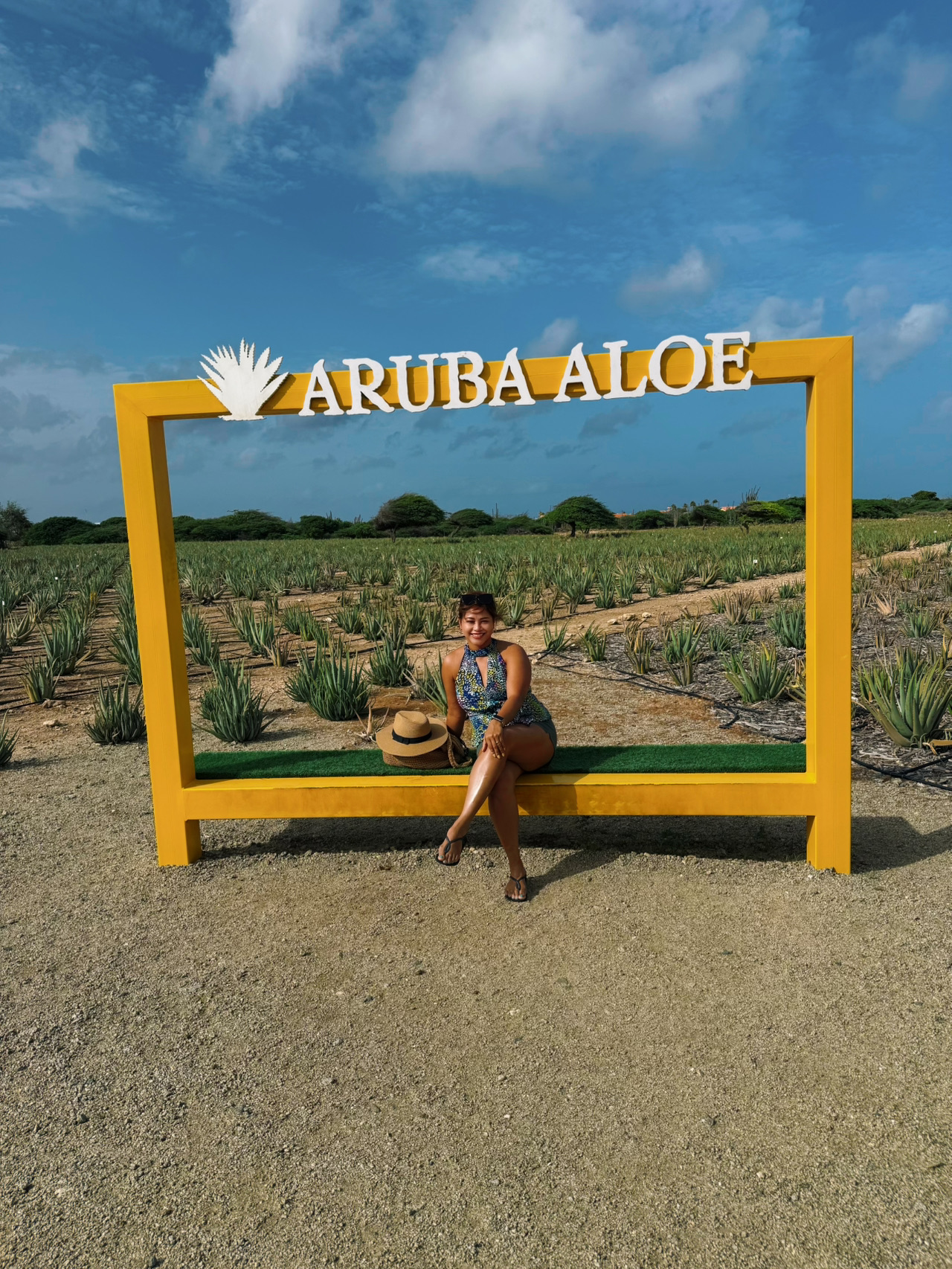#aruba Aruba, often called "One Happy Island," is a Caribbean paradise renowned for its pristine beaches, breathtaking sunsets, and vibrant culinary scene.🇦🇼