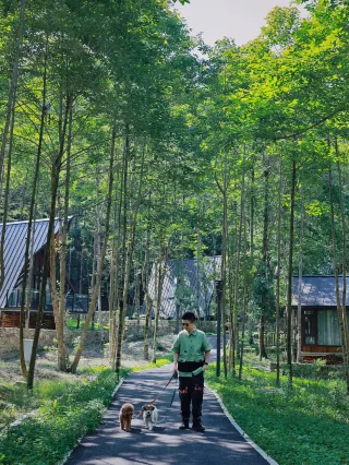강아지와 함께하는 여행｜모두에게 추천하고 싶은 이 첸저우의 숨겨진 비경
